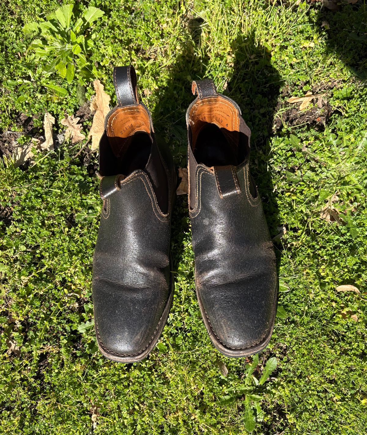 Photo by geckotrekker on April 3, 2026 of the Thursday Journeyman in Thursday Waxed Cacao.