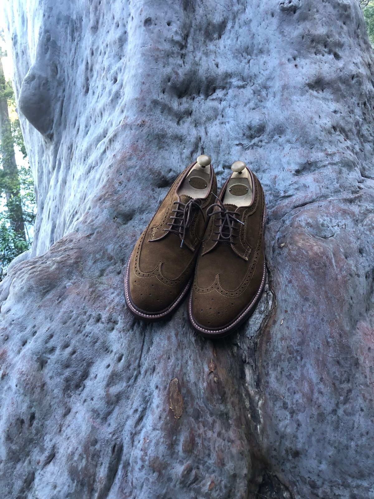 Photo by menswearoutdoors on October 10, 2024 of the Alden Long Wing Blucher in C.F. Stead Snuff Janus Calf Suede.