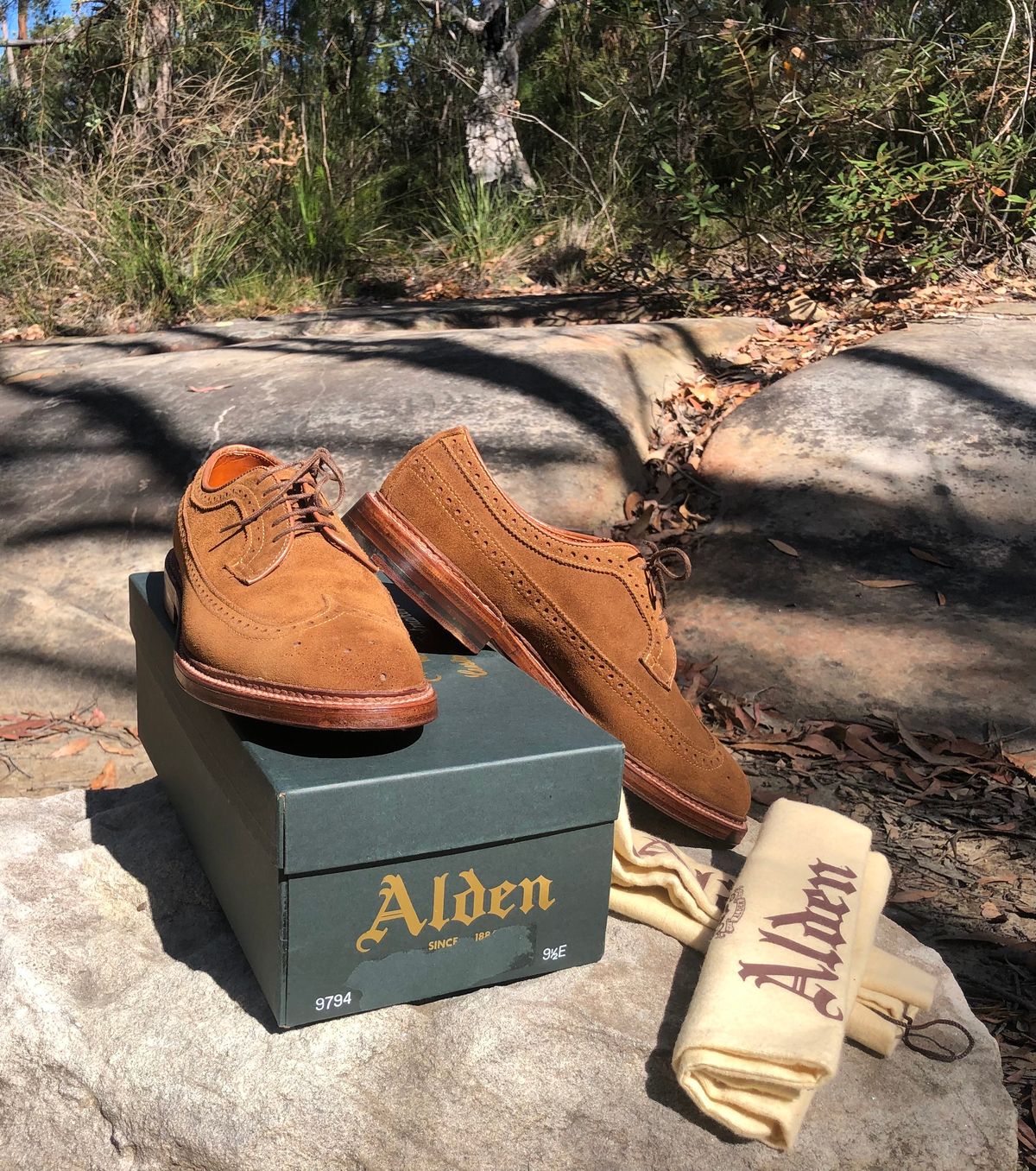 Photo by menswearoutdoors on October 10, 2024 of the Alden Long Wing Blucher in C.F. Stead Snuff Janus Calf Suede.