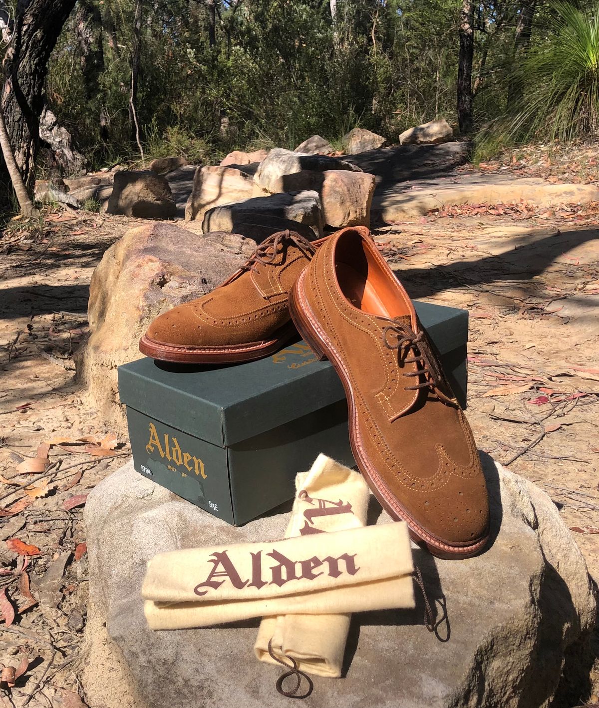 Photo by menswearoutdoors on October 10, 2024 of the Alden Long Wing Blucher in C.F. Stead Snuff Janus Calf Suede.
