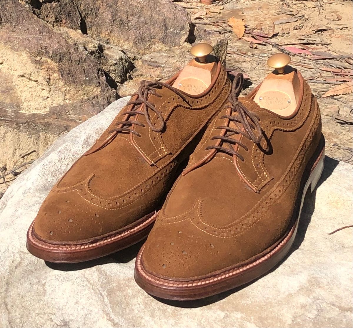 Photo by menswearoutdoors on October 10, 2024 of the Alden Long Wing Blucher in C.F. Stead Snuff Janus Calf Suede.