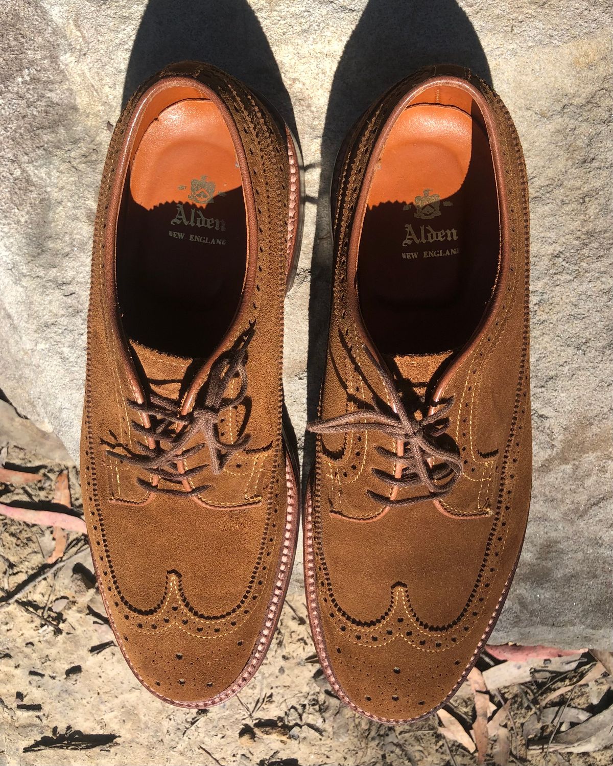 Photo by menswearoutdoors on October 10, 2024 of the Alden Long Wing Blucher in C.F. Stead Snuff Janus Calf Suede.