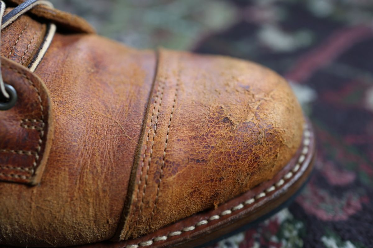 Photo by danielc on February 20, 2026 of the Truman Cap Toe Boot in C.F. Stead Coach Rambler.