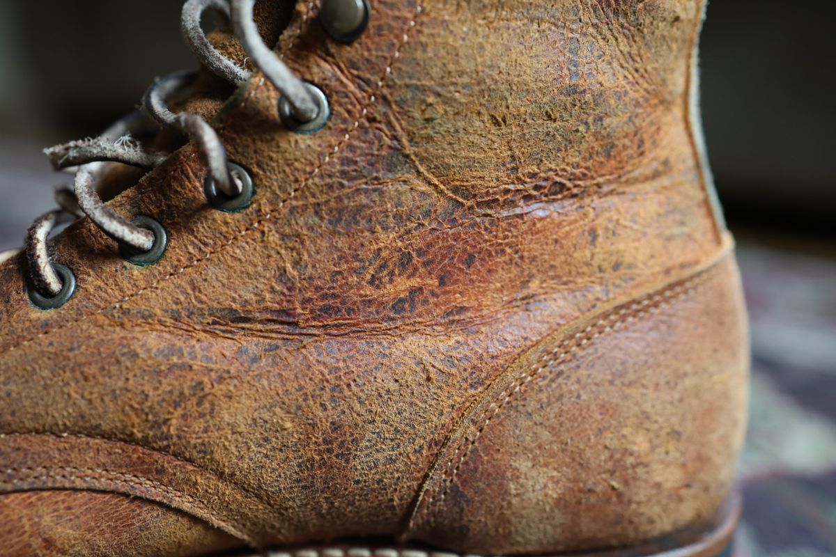 Photo by danielc on February 20, 2026 of the Truman Cap Toe Boot in C.F. Stead Coach Rambler.