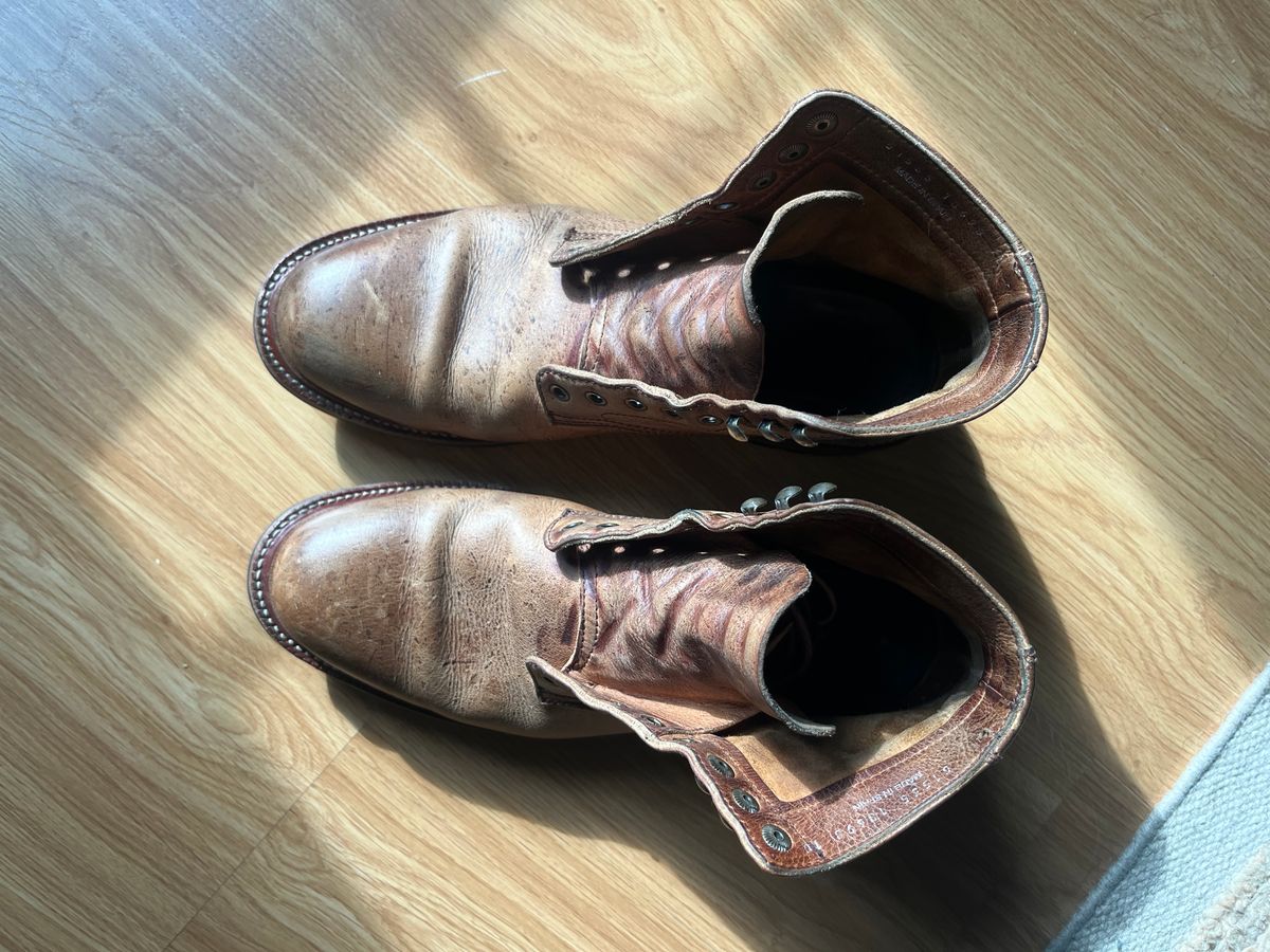 Photo by MrStudabaker on February 3, 2026 of the Parkhurst The Allen in C.F. Stead Anise Kudu.