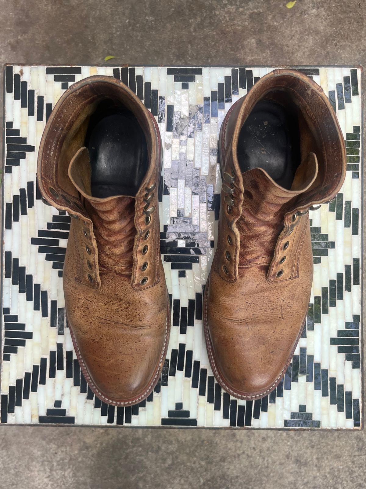 Photo by MrStudabaker on April 3, 2026 of the Parkhurst The Allen in C.F. Stead Anise Kudu.