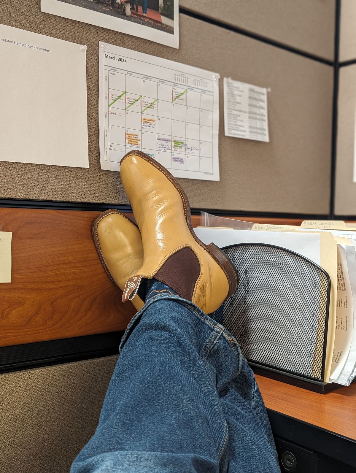Photo by lemonpeak on March 27, 2024 of the R.M. Williams Signature Craftsman Boot in R.M. Williams Yearling Custom Mahogany.