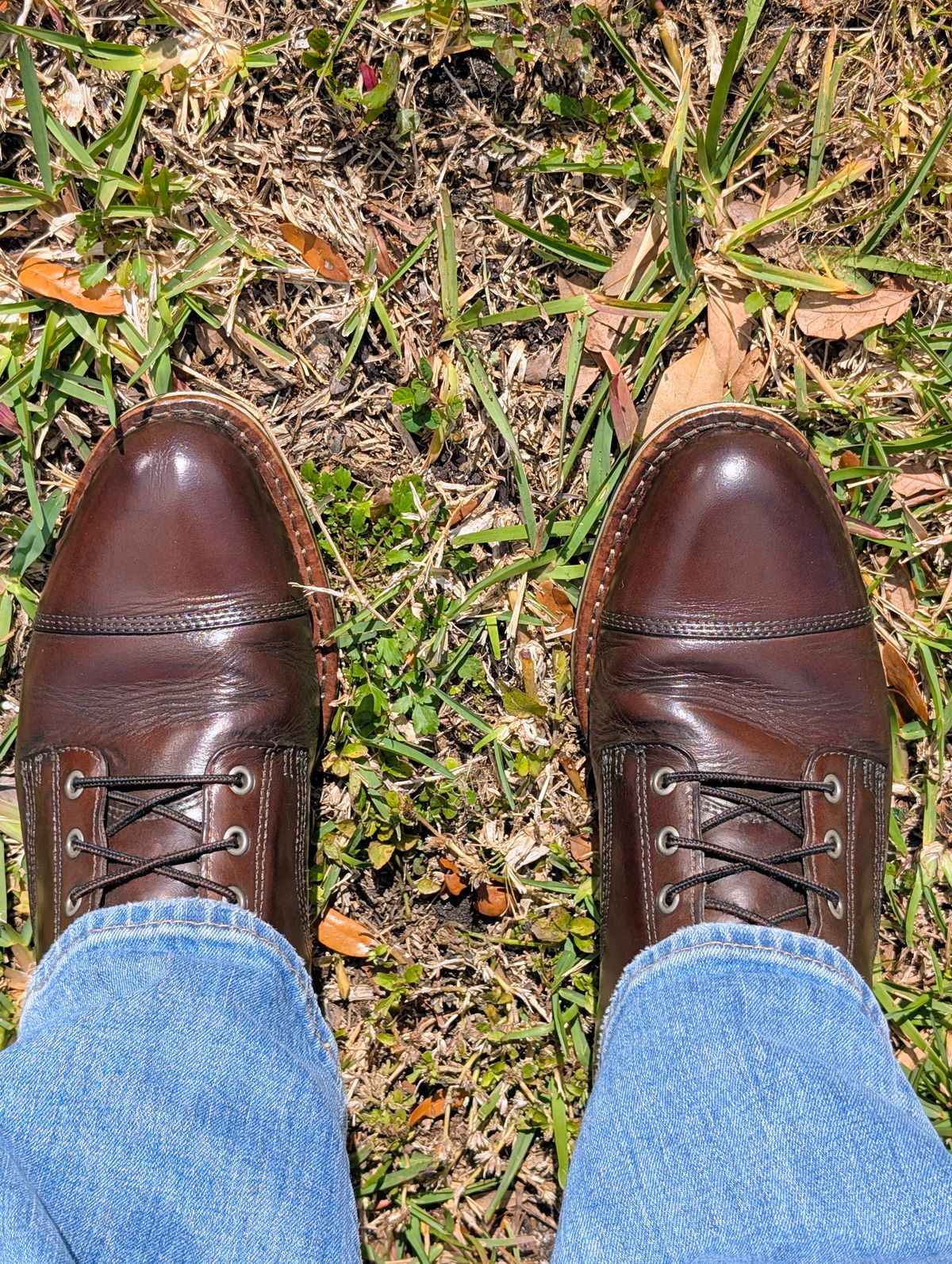 Photo by lemonpeak on February 14, 2026 of the HELM Boots The Hollis in Krumenauer Olive.