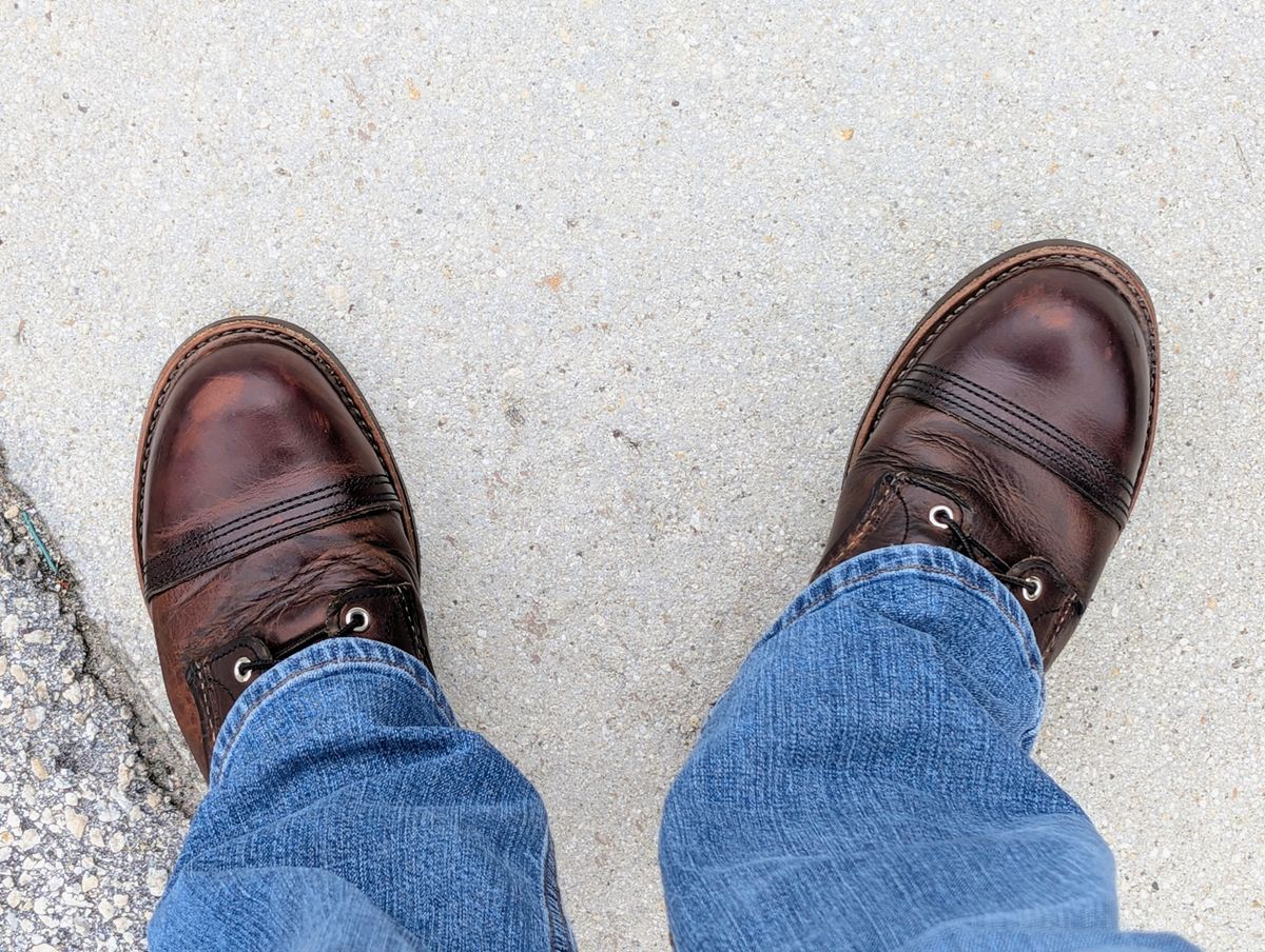 Photo by lemonpeak on September 6, 2025 of the Red Wing Iron Ranger in S.B. Foot Copper Rough and Tough.