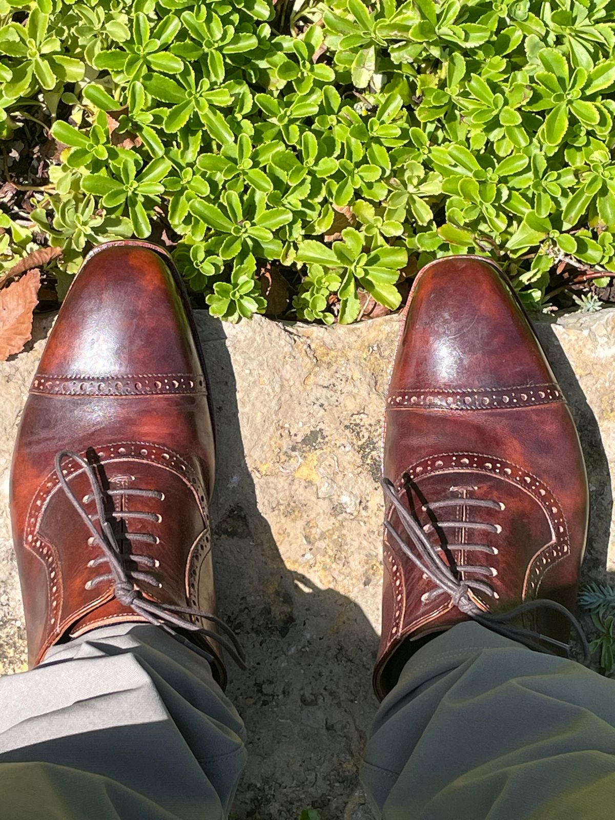 Photo by AmericanFlo on July 24, 2025 of the Blkbrd Shoemaker Horacio in Zonta Chestnut Museum Calf.