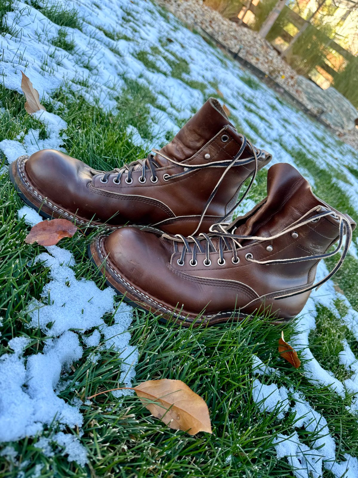 Photo by EliCashsWildcat on November 6, 2024 of the White's 350 Cutter in Horween British Tan Chromexcel.