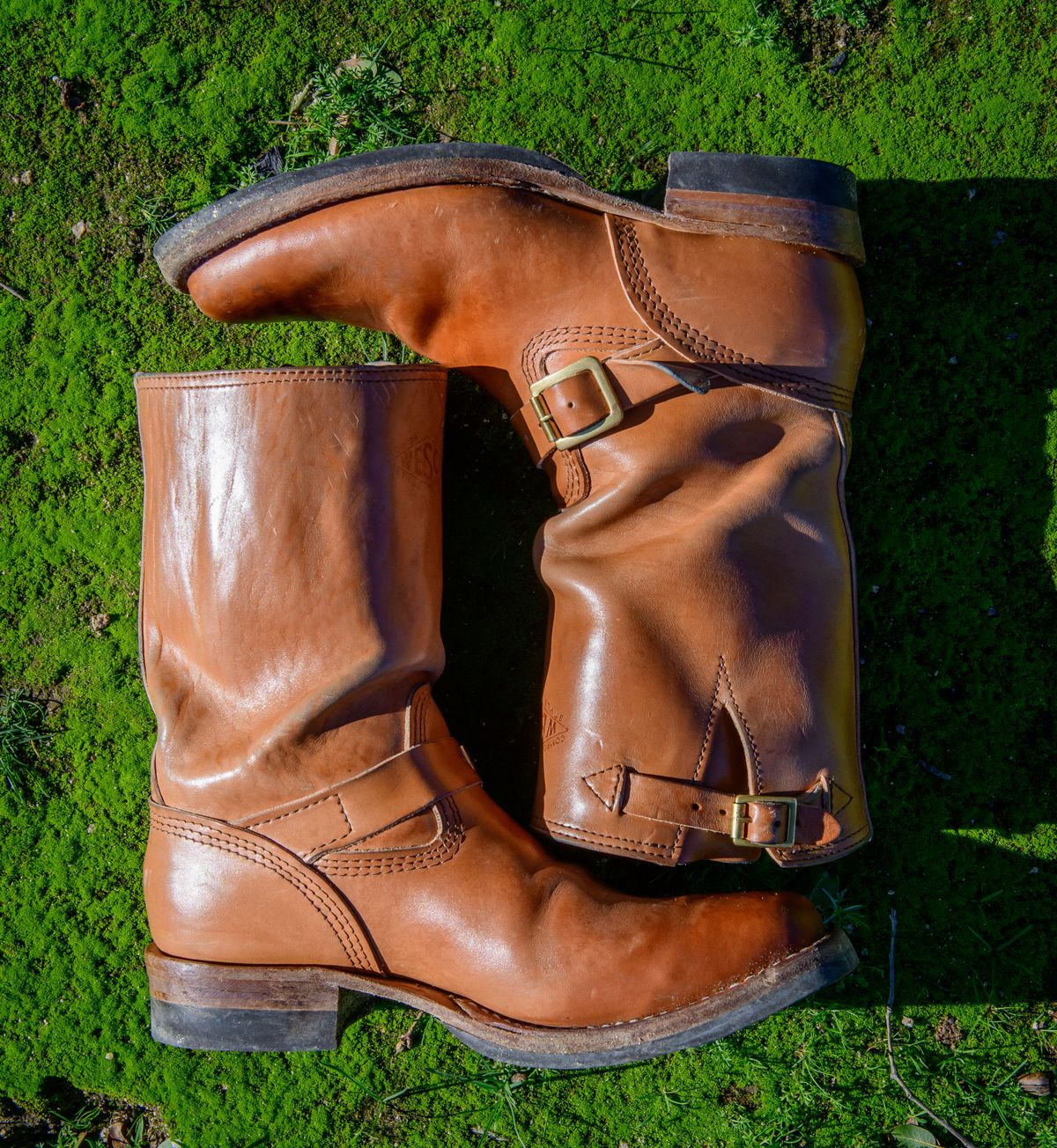 Photo by kungfubeach on January 5, 2026 of the Wesco Mister Lou in Maryam Natural Horsebutt.