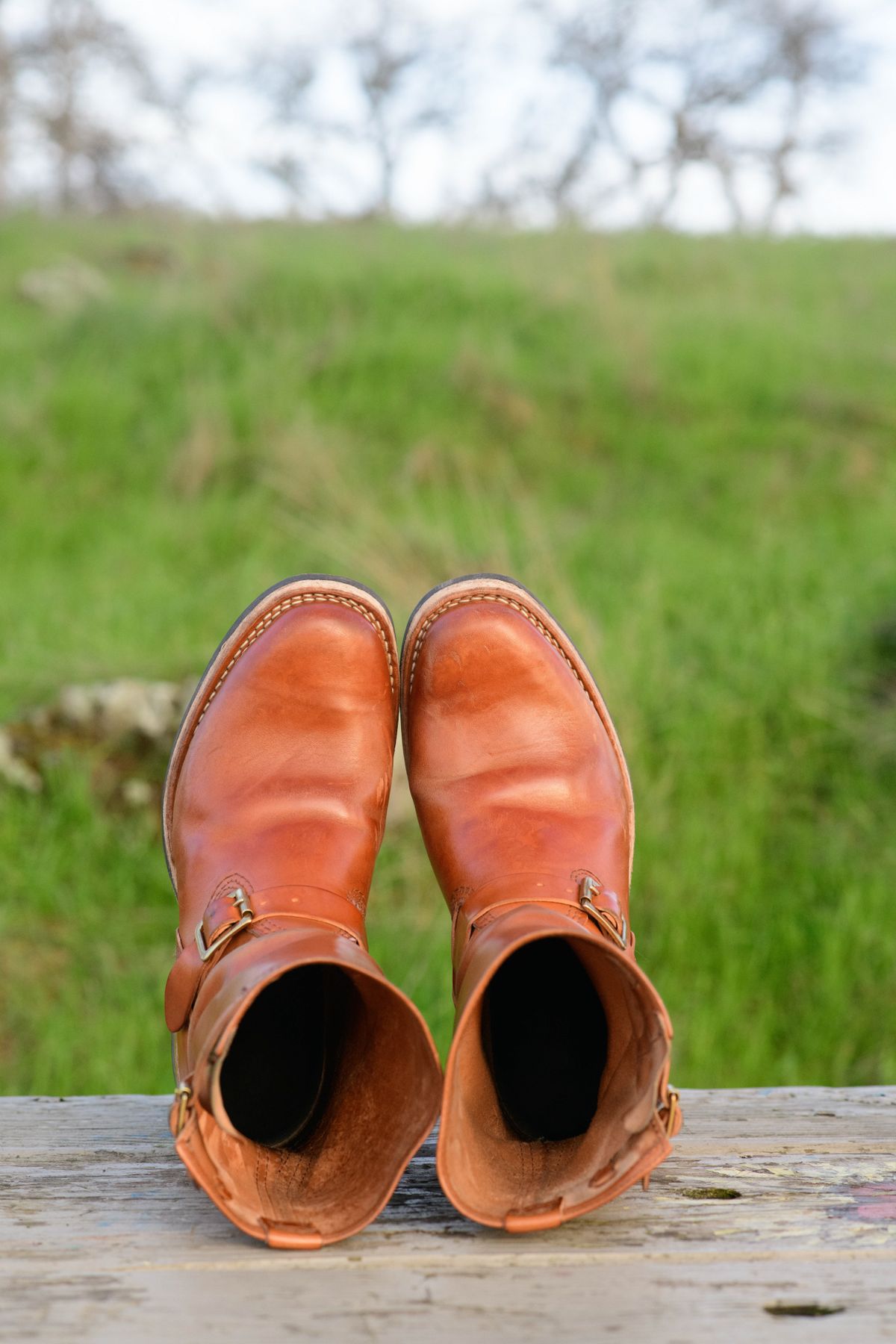 Photo by kungfubeach on February 5, 2026 of the Wesco Mister Lou in Maryam Natural Horsebutt.