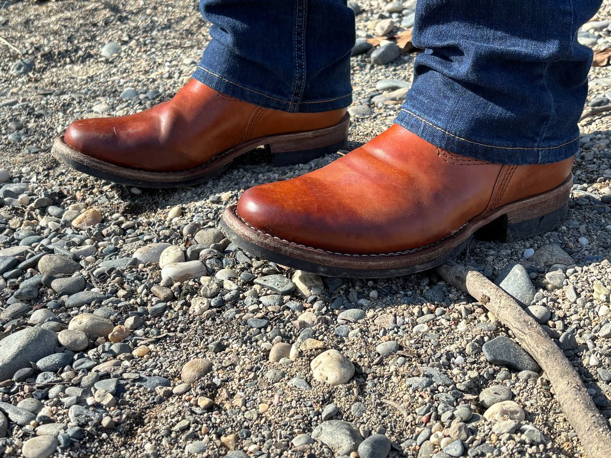 Photo by kungfubeach on February 1, 2026 of the Wesco Mister Lou in Maryam Natural Horsebutt.