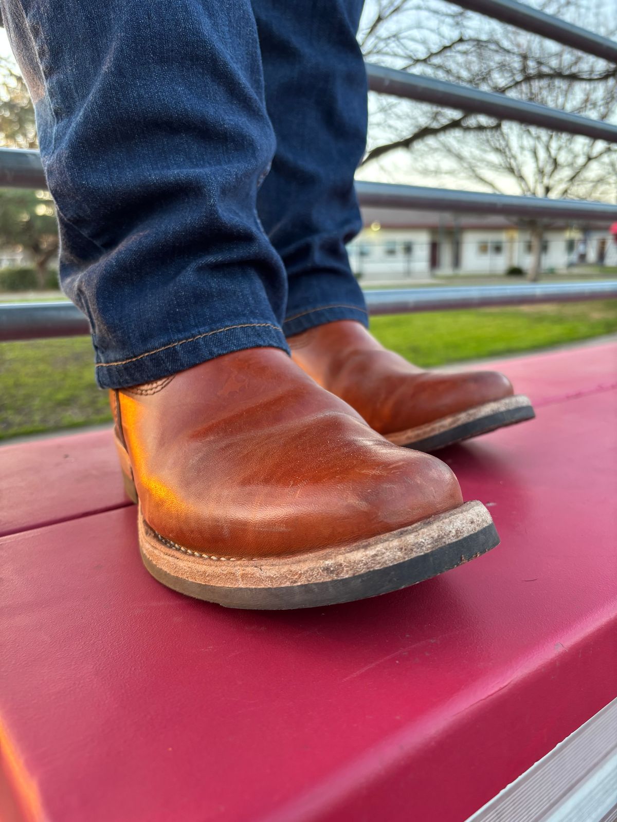 Photo by kungfubeach on January 29, 2026 of the Wesco Mister Lou in Maryam Natural Horsebutt.