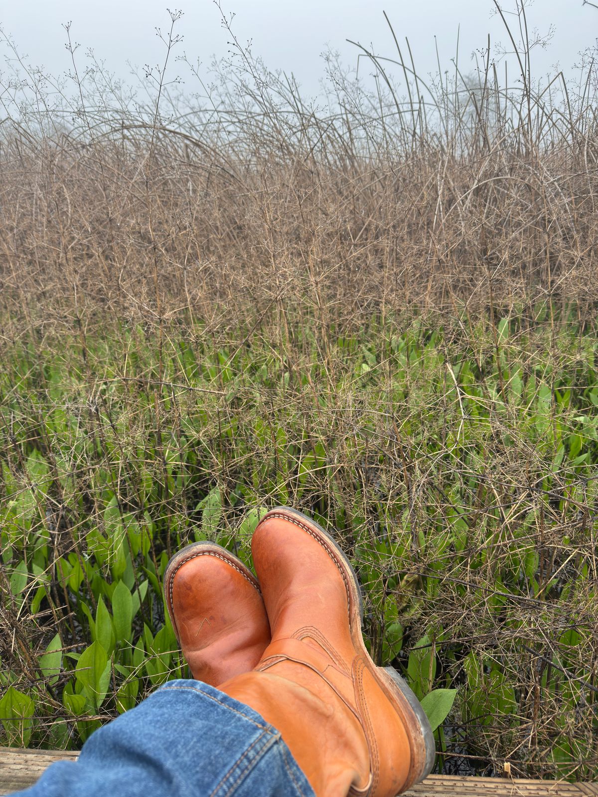 Photo by kungfubeach on January 18, 2026 of the Wesco Mister Lou in Maryam Natural Horsebutt.