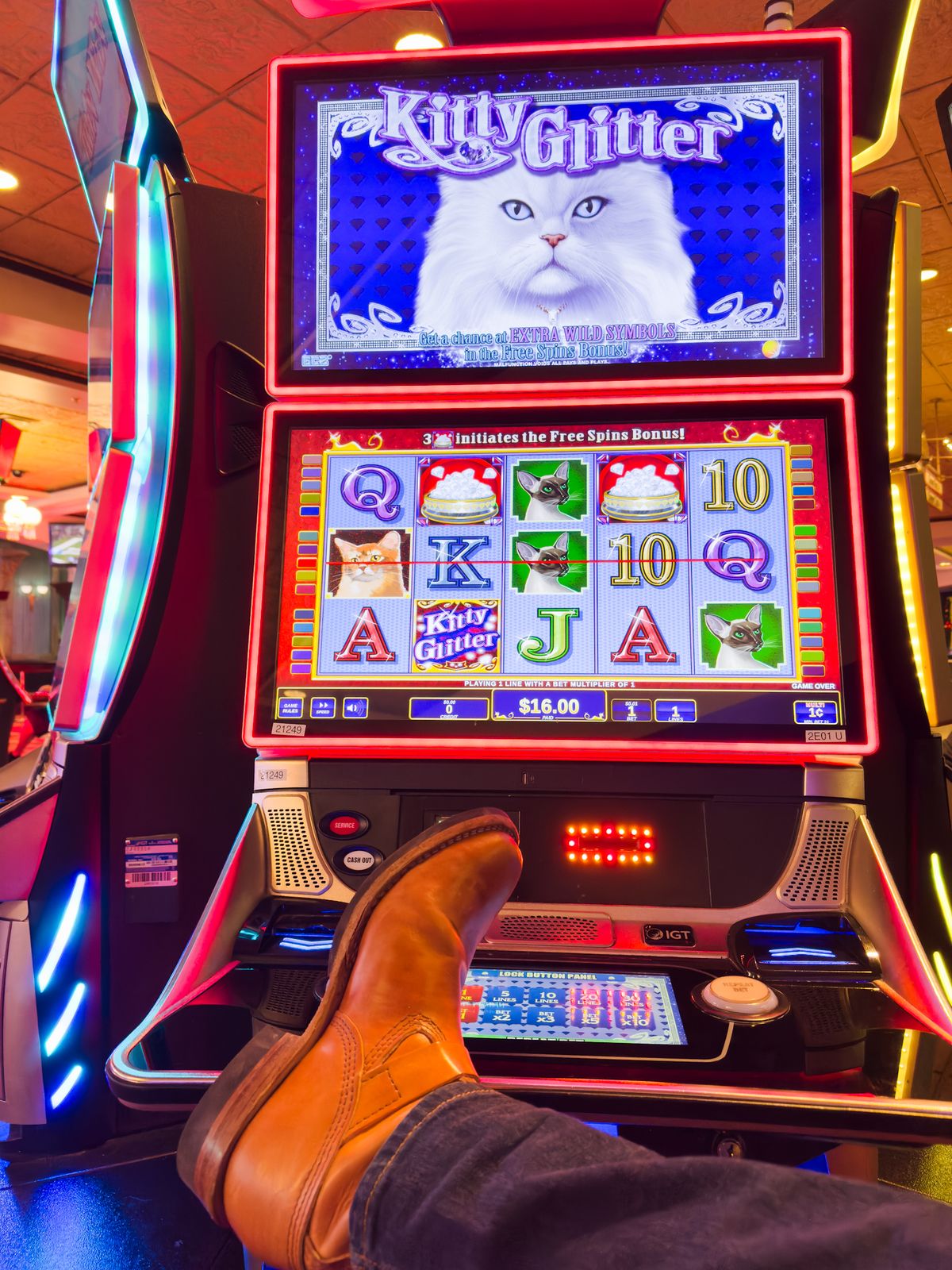 Photo by kungfubeach on December 6, 2025 of the Wesco Mister Lou in Maryam Natural Horsebutt.