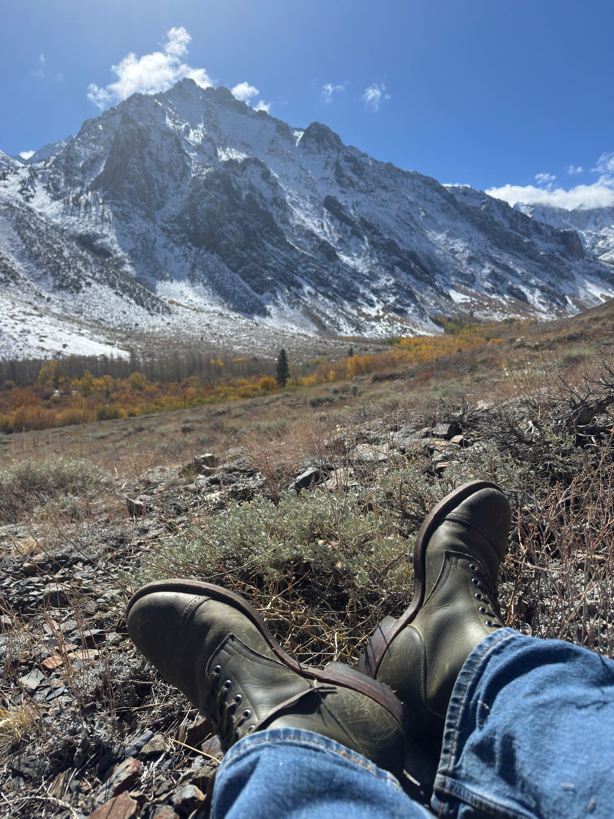 Photo by kungfubeach on October 16, 2025 of the Viberg Service Boot in Horween Olive Chromepak.