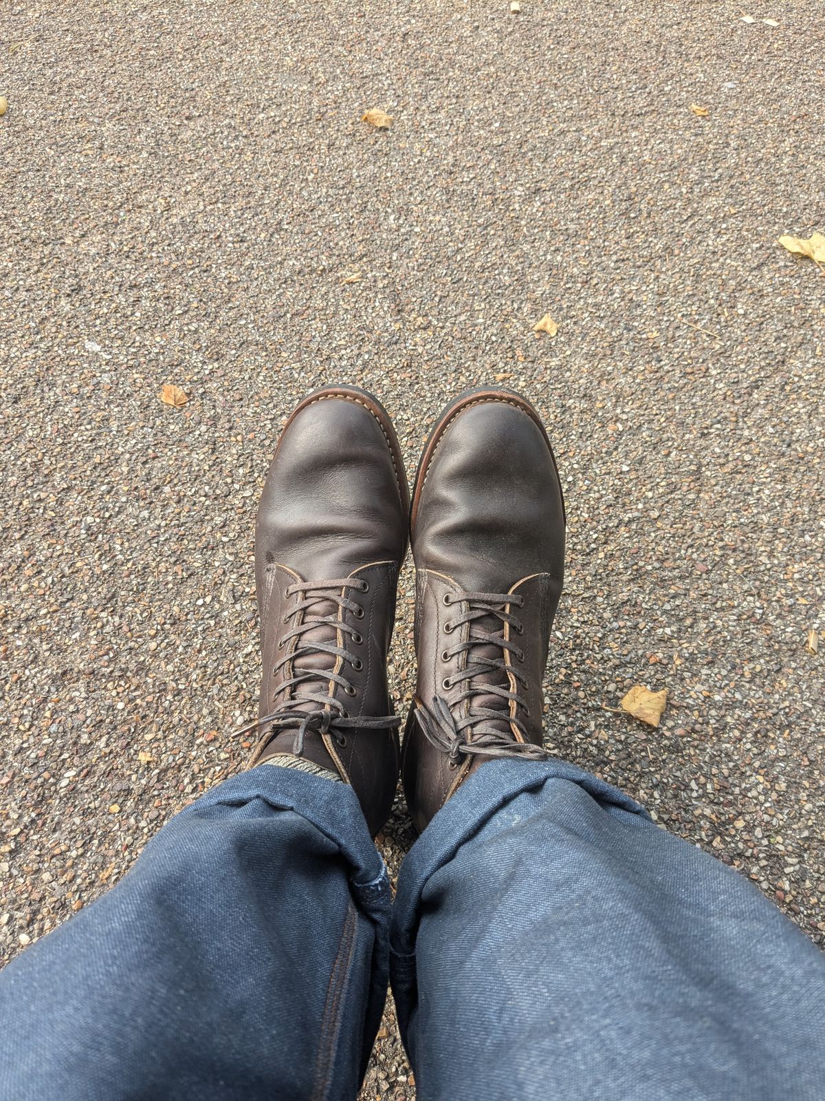 Photo by swoob on September 21, 2024 of the Red Wing Merchant in S.B. Foot Ebony Harness.