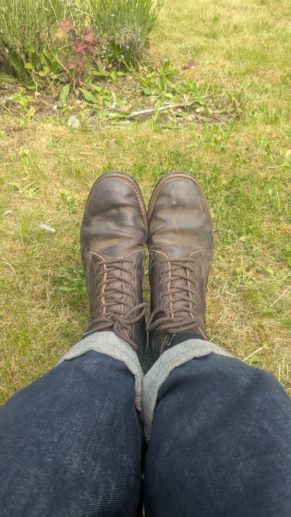 Photo by swoob on May 19, 2025 of the Red Wing Merchant in S.B. Foot Ebony Harness.
