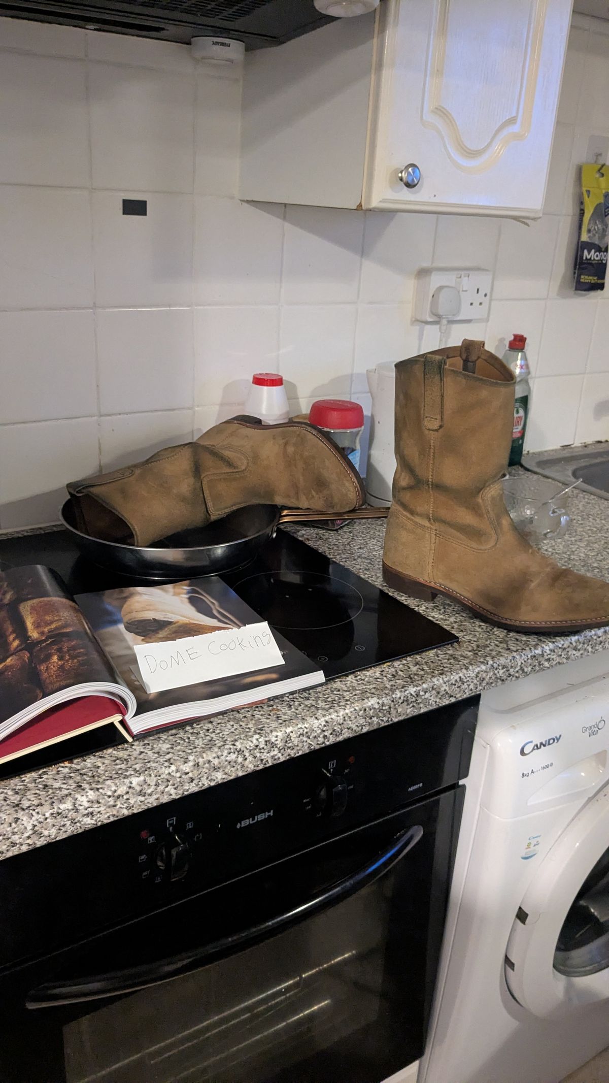 Photo by swoob on November 1, 2025 of the Red Wing Pecos in S.B. Foot Hawthorne Muleskinner.