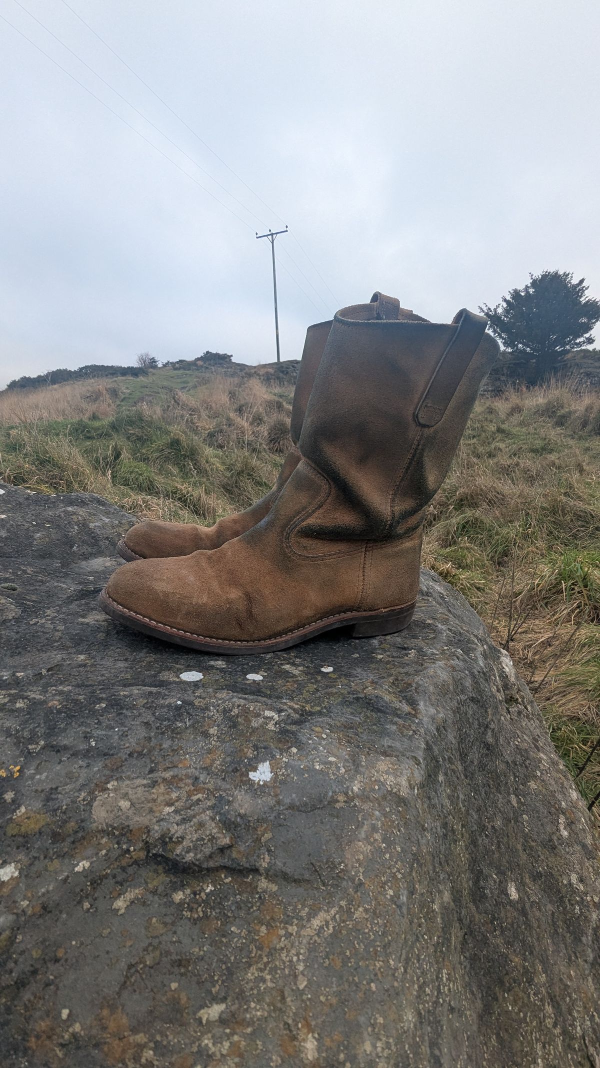 Photo by swoob on December 26, 2025 of the Red Wing Pecos in S.B. Foot Hawthorne Muleskinner.