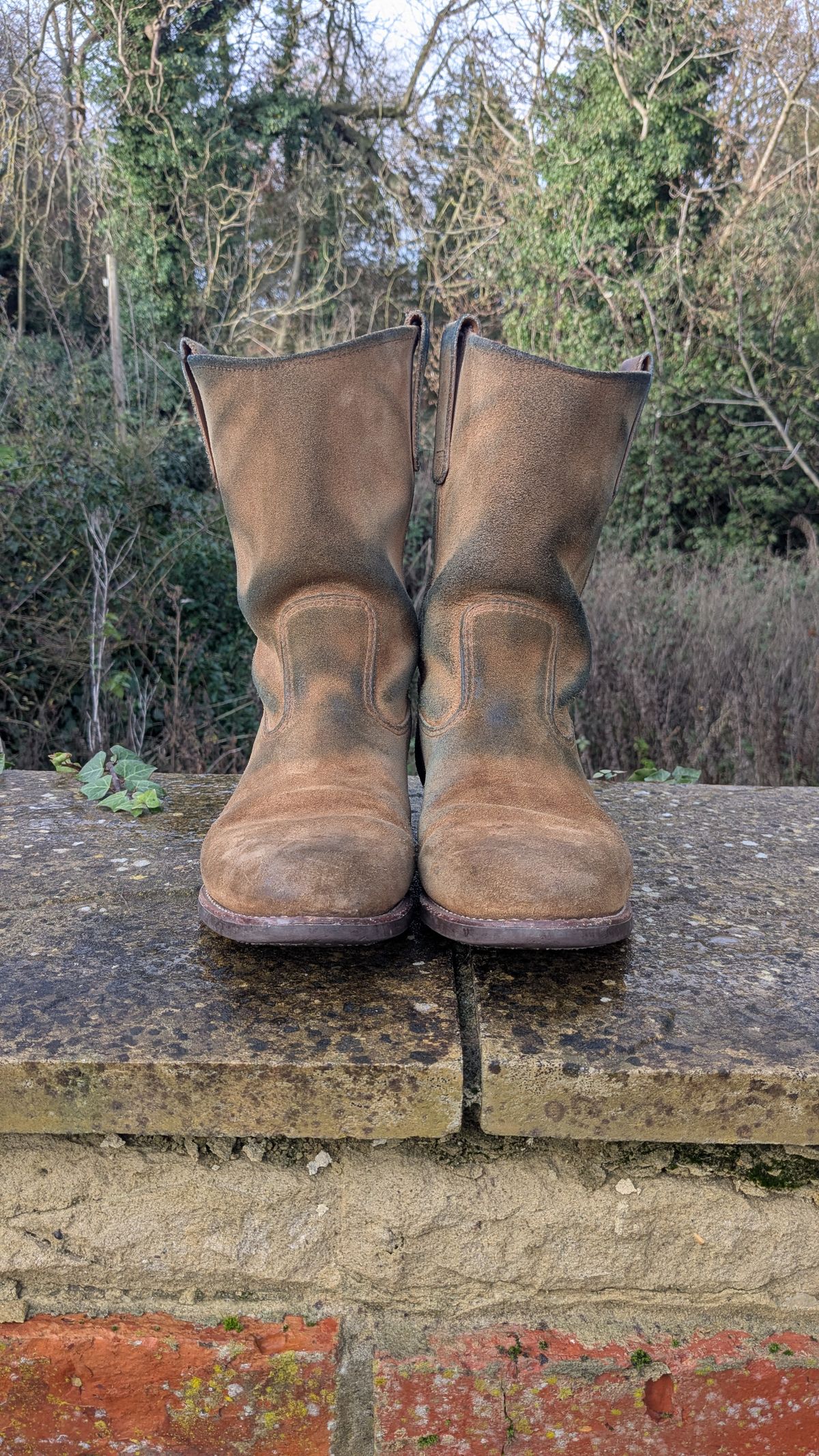 Photo by swoob on January 1, 2026 of the Red Wing Pecos in S.B. Foot Hawthorne Muleskinner.