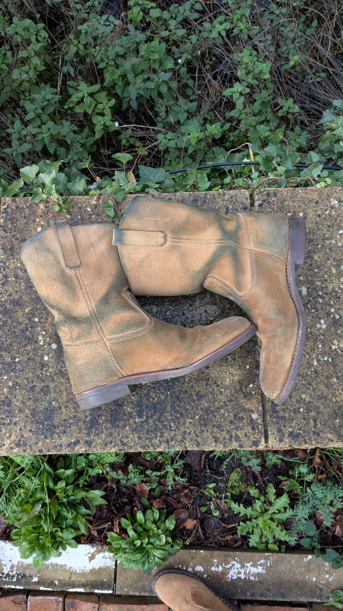 Photo by swoob on January 1, 2026 of the Red Wing Pecos in S.B. Foot Hawthorne Muleskinner.