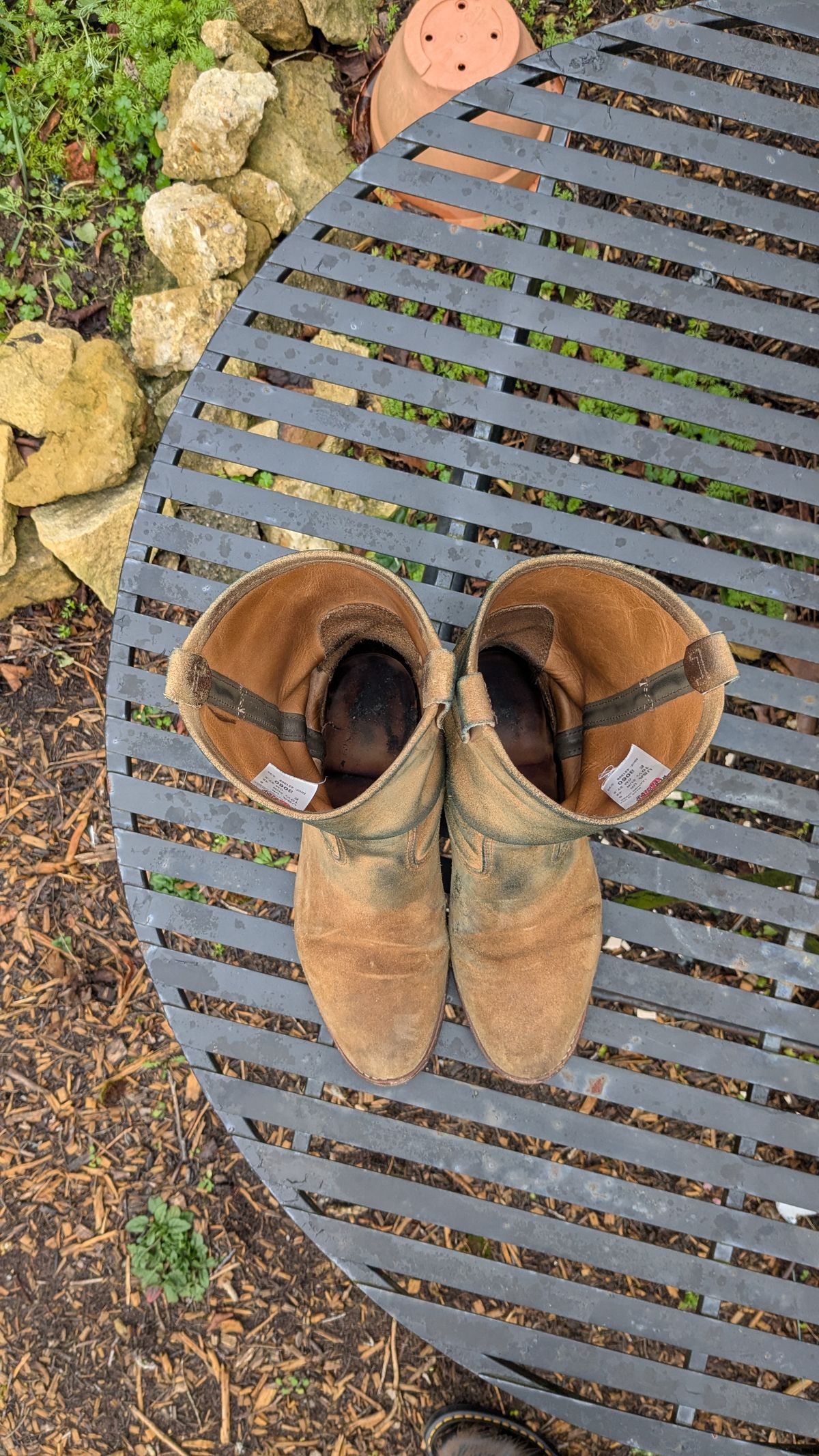 Photo by swoob on February 1, 2026 of the Red Wing Pecos in S.B. Foot Hawthorne Muleskinner.