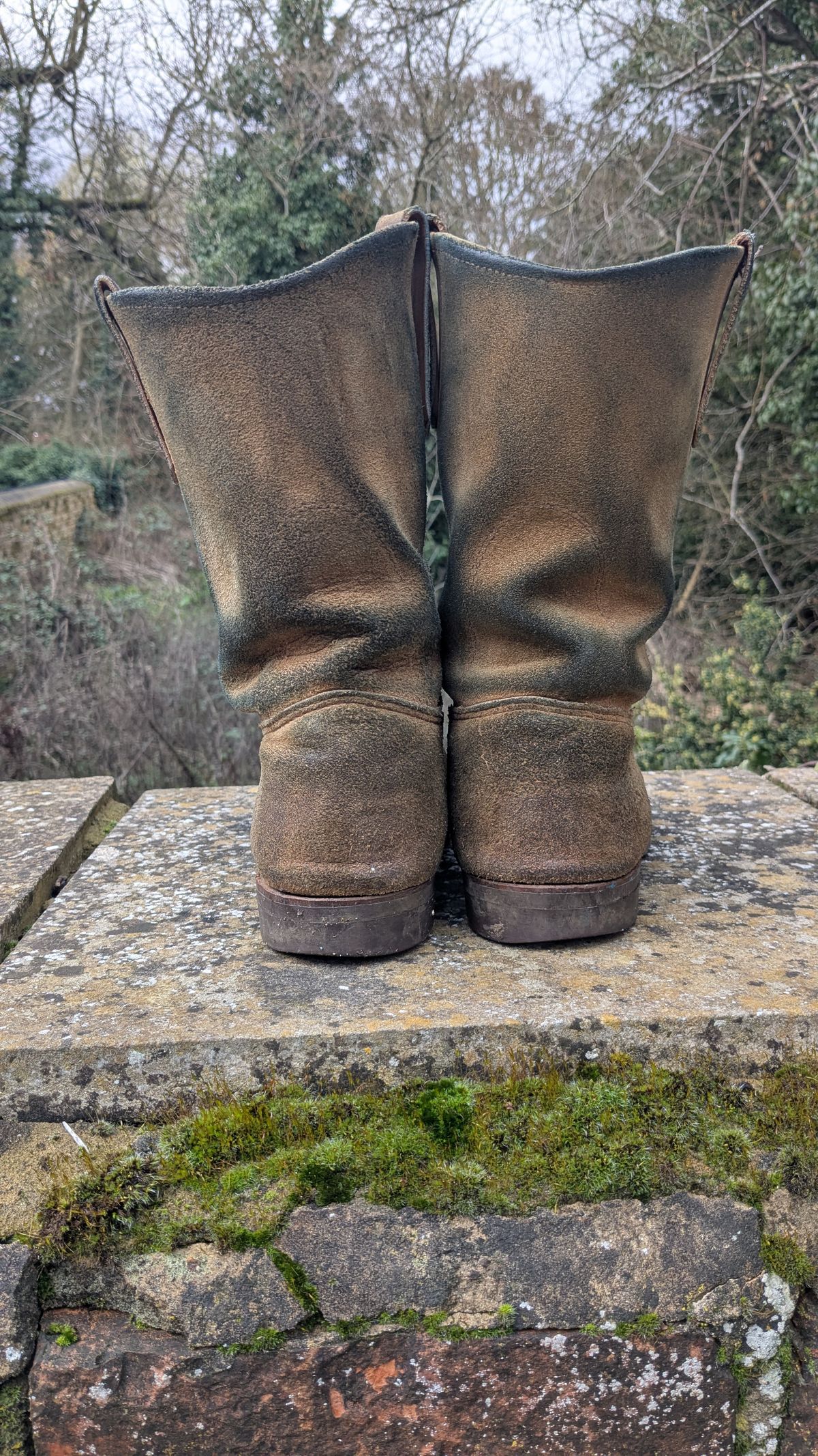 Photo by swoob on March 1, 2026 of the Red Wing Pecos in S.B. Foot Hawthorne Muleskinner.