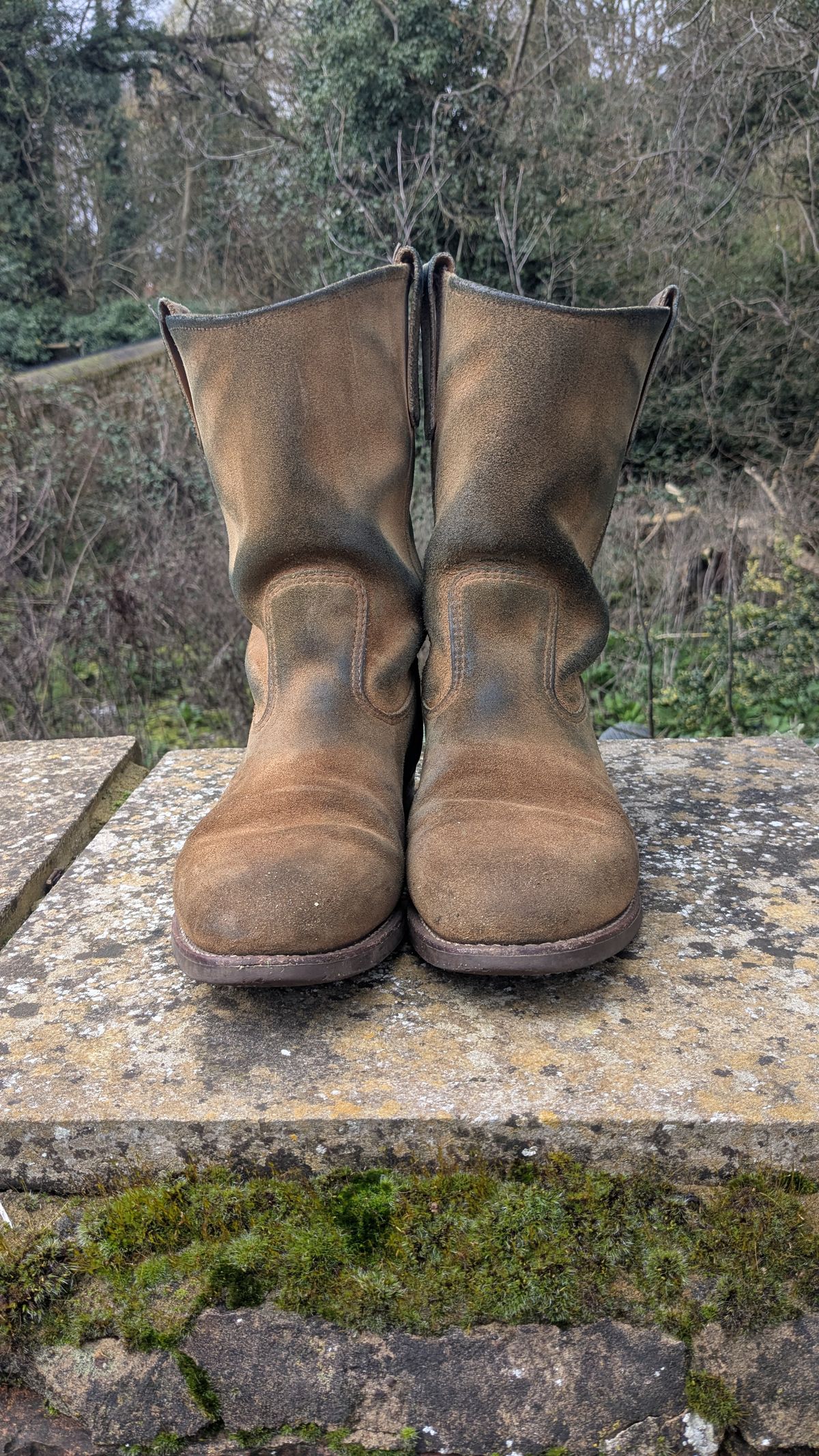 Photo by swoob on March 1, 2026 of the Red Wing Pecos in S.B. Foot Hawthorne Muleskinner.