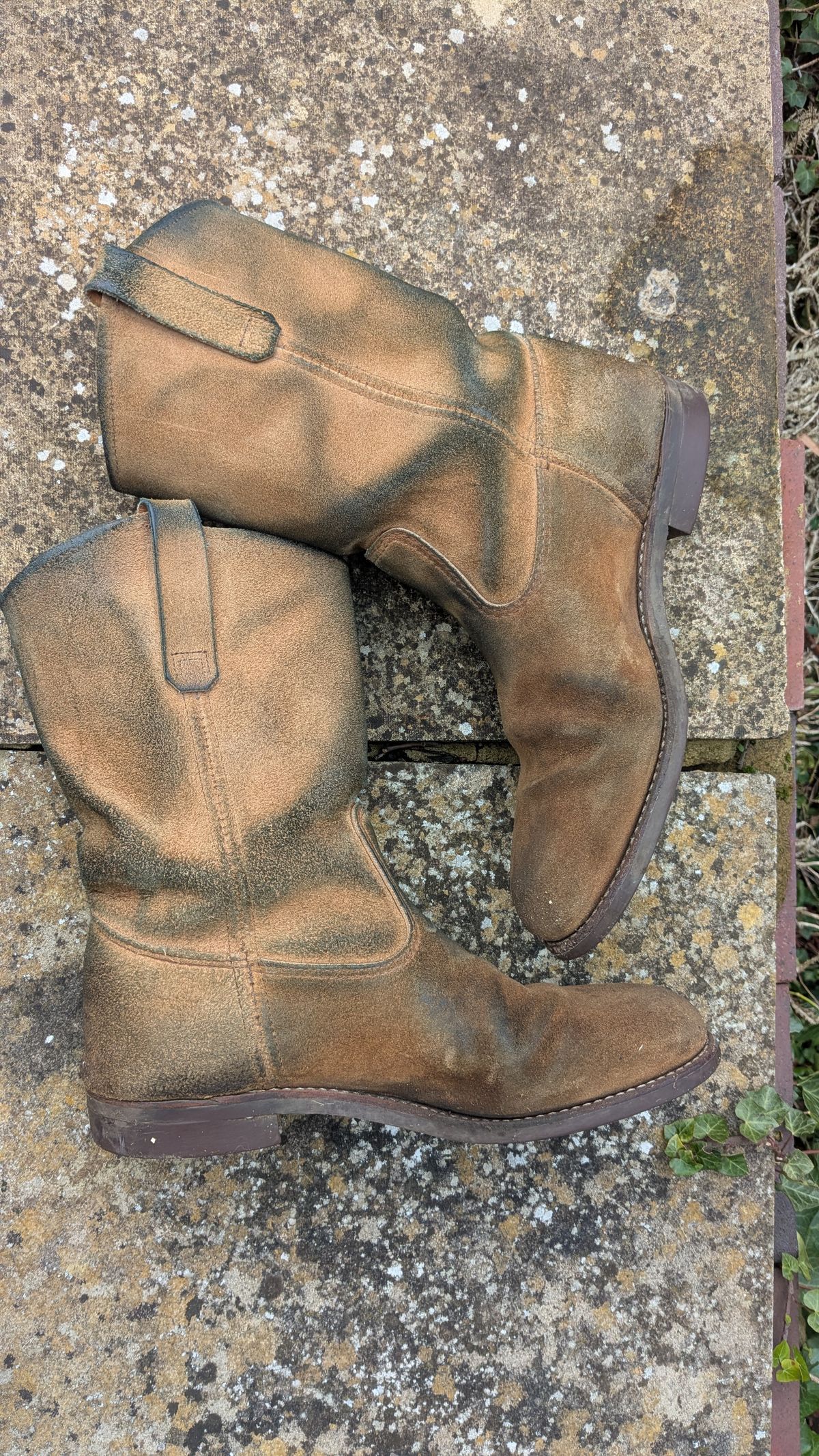 Photo by swoob on March 1, 2026 of the Red Wing Pecos in S.B. Foot Hawthorne Muleskinner.