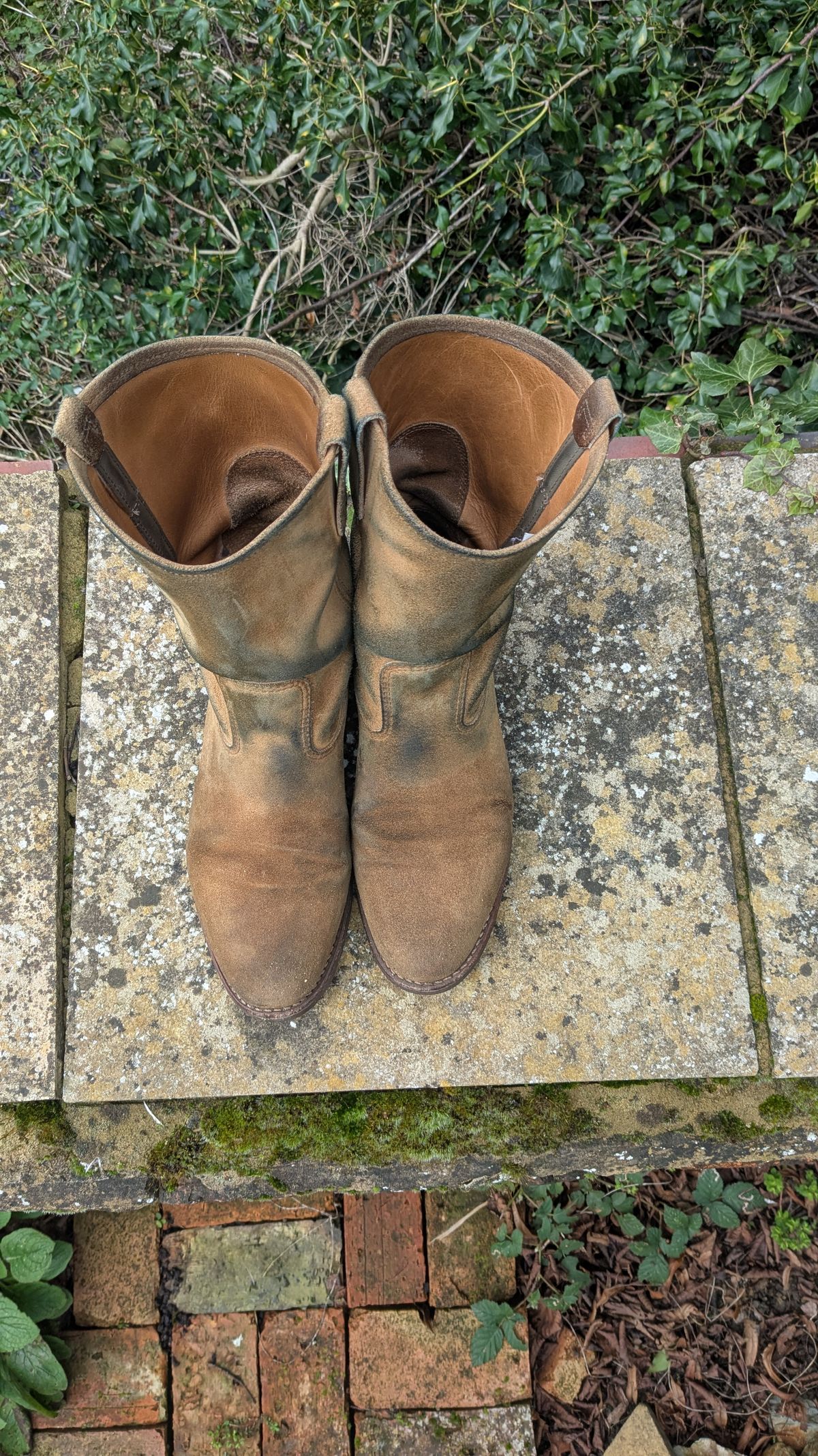 Photo by swoob on March 1, 2026 of the Red Wing Pecos in S.B. Foot Hawthorne Muleskinner.