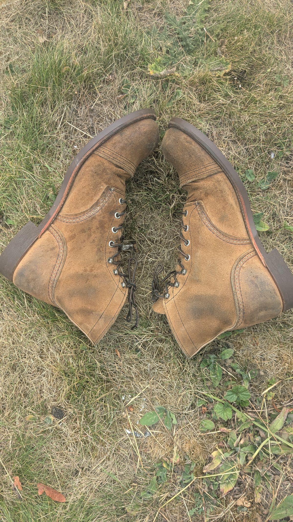Photo by swoob on August 3, 2025 of the Red Wing Iron Ranger in S.B. Foot Hawthorne Muleskinner.