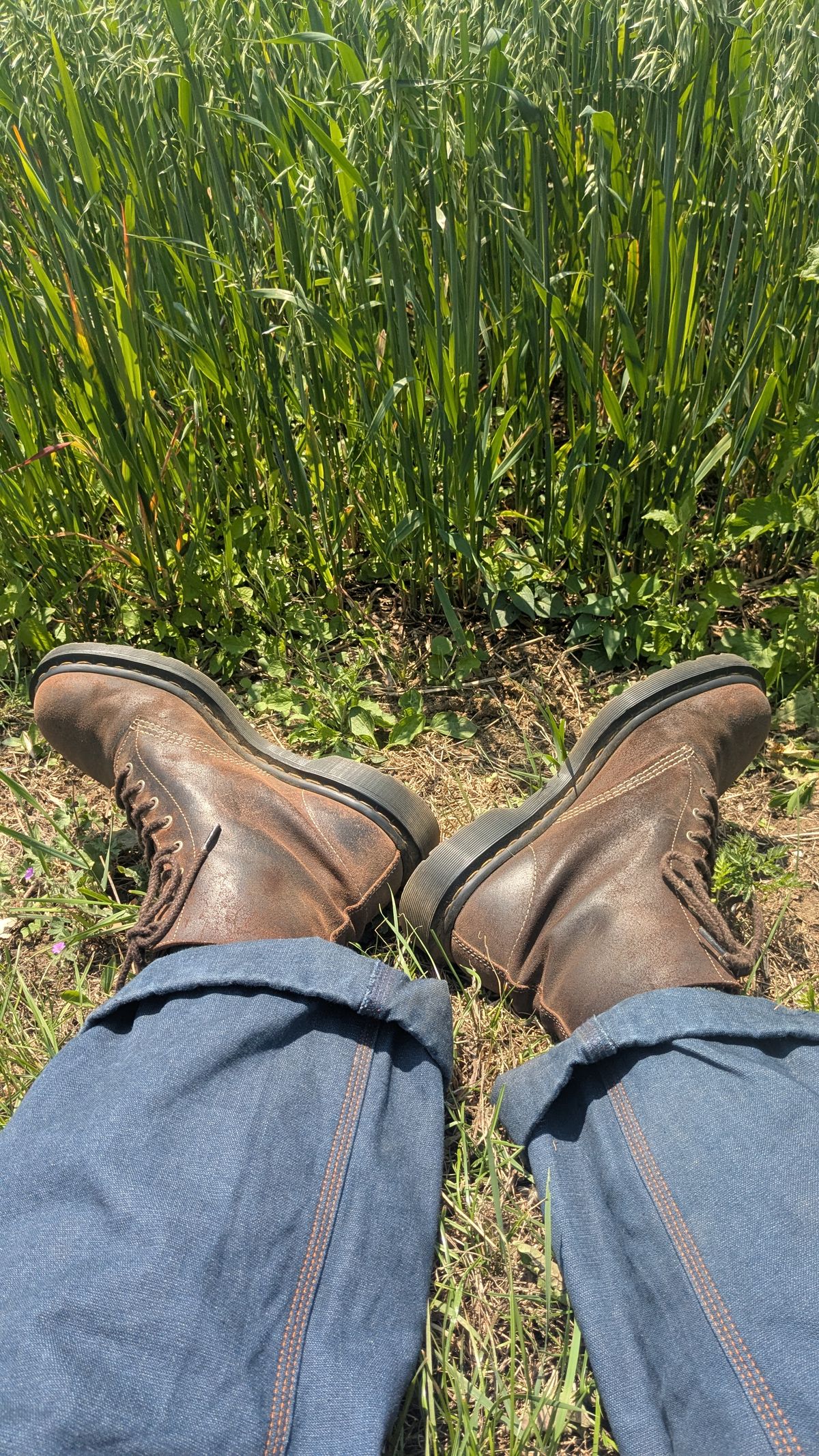 Photo by swoob on June 10, 2025 of the Dr. Martens 1460 Made In England in C.F. Stead Brown Waxy Comader.