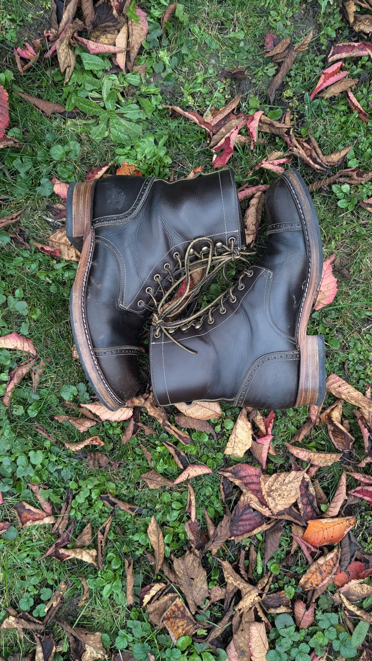 Photo by swoob on November 1, 2024 of the Bright Shoemakers Combat Boot in Olive Oil Veg Tan.