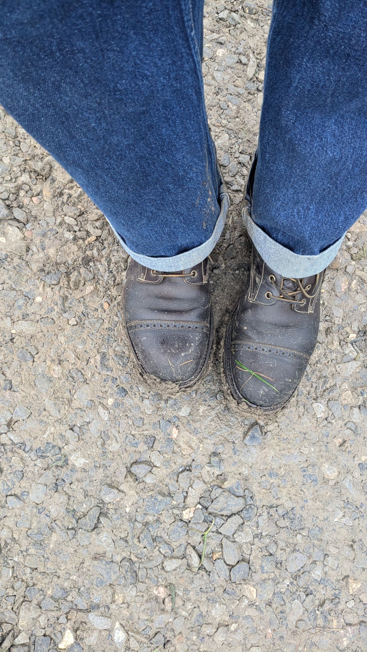Photo by swoob on January 2, 2025 of the Bright Shoemakers Combat Boot in Olive Oil Veg Tan.
