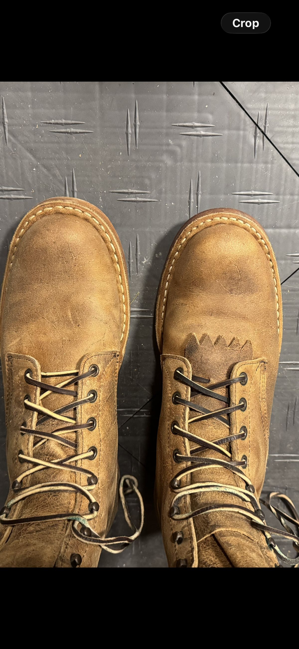 Photo by jimmyb on March 4, 2026 of the White's Bounty Hunter in Cognac Coach Rambler.