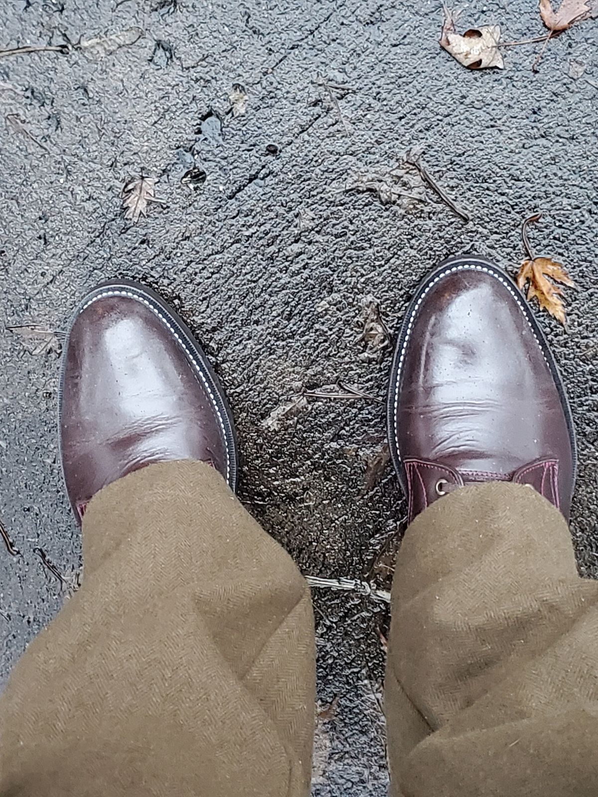 Photo by MDM on January 5, 2025 of the Txture Txture / Pacific boots in Red Wine Pull Up (local).