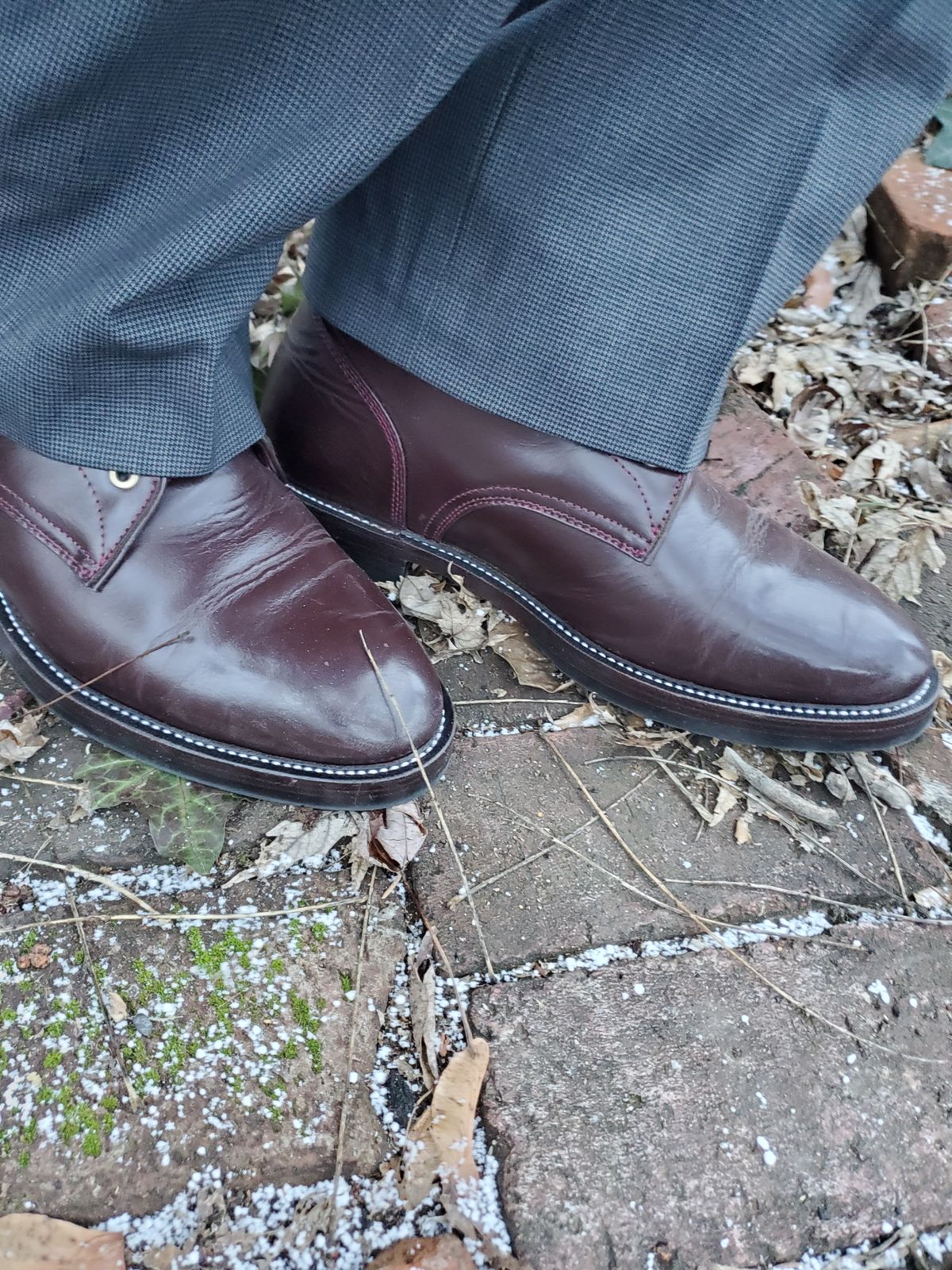 Photo by MDM on February 4, 2025 of the Txture Txture / Pacific boots in Red Wine Pull Up (local).