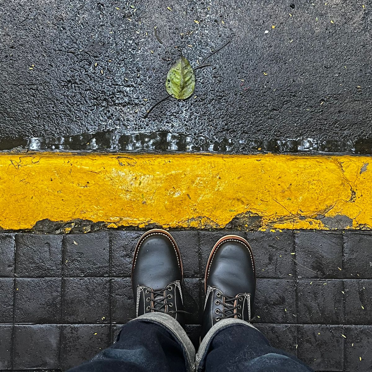 Photo by BiengerZ on September 14, 2025 of the Willie's Handmade Boots Boondocker in Horween Black Chromexcel.