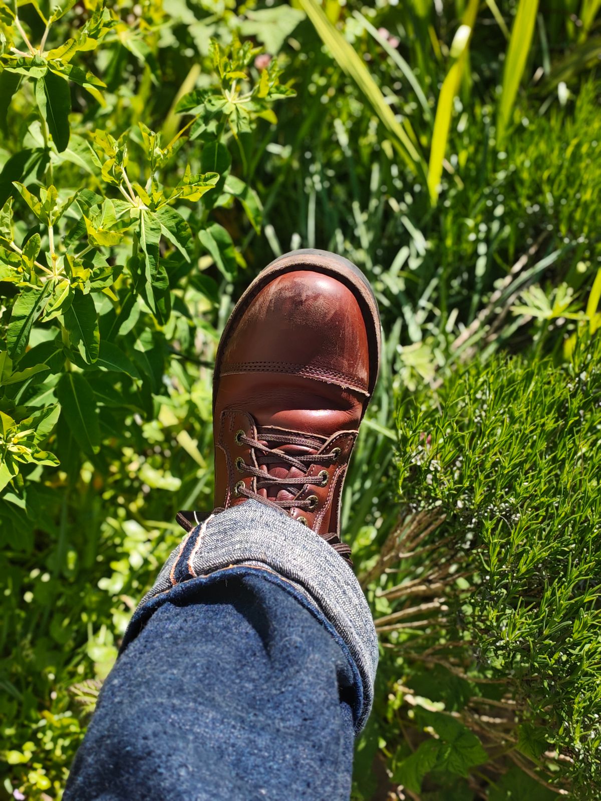 Photo by AdamReynolds on April 24, 2026 of the Jim Green Numzaan in Walnut Veg Tan.