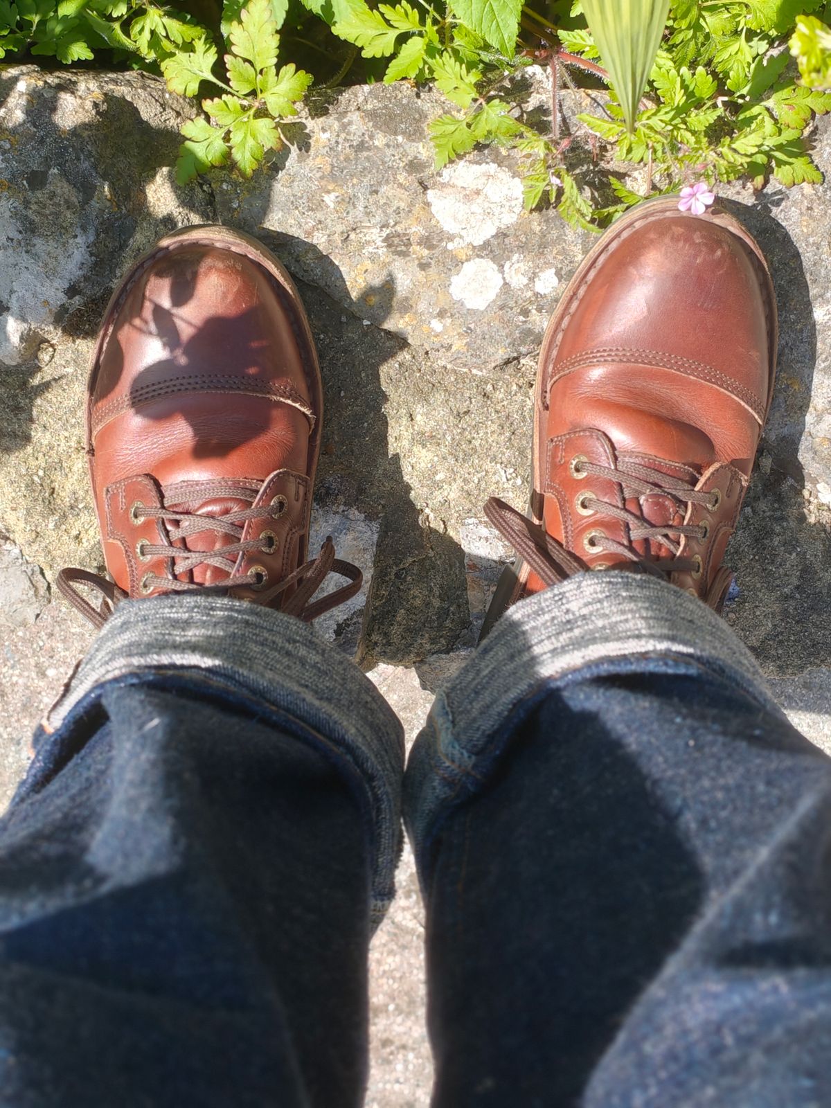 Photo by AdamReynolds on April 24, 2026 of the Jim Green Numzaan in Walnut Veg Tan.