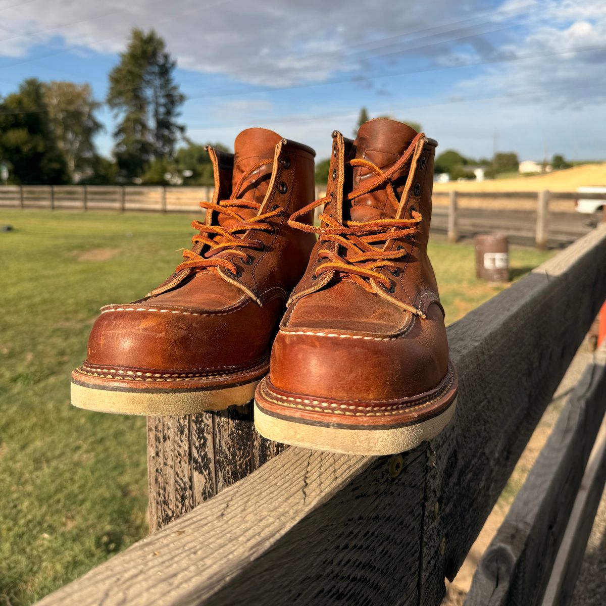 Photo by kswem on August 5, 2025 of the Red Wing 6-Inch Classic Moc in S.B. Foot Copper Rough and Tough.