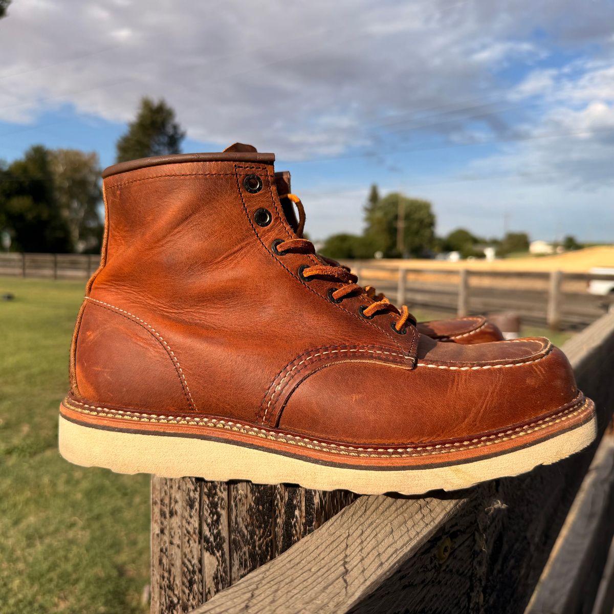 Photo by kswem on August 5, 2025 of the Red Wing 6-Inch Classic Moc in S.B. Foot Copper Rough and Tough.