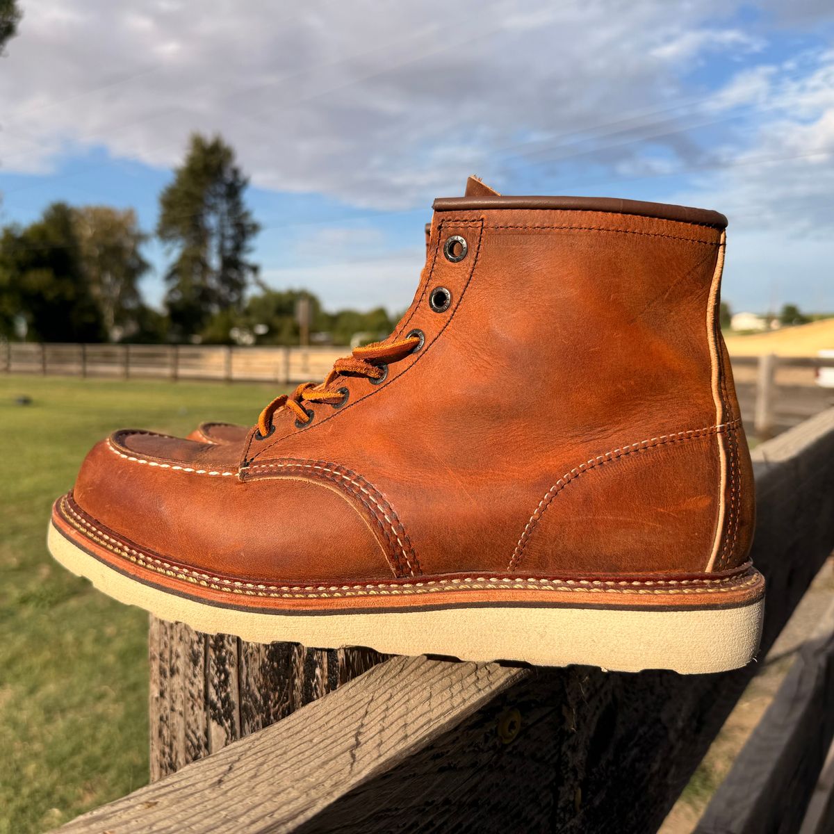 Photo by kswem on August 5, 2025 of the Red Wing 6-Inch Classic Moc in S.B. Foot Copper Rough and Tough.