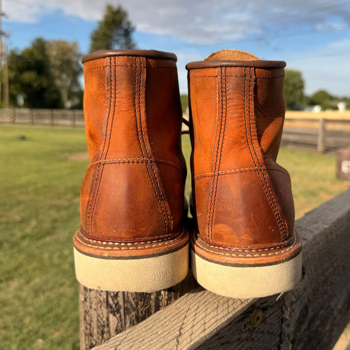 Photo by kswem on August 5, 2025 of the Red Wing 6-Inch Classic Moc in S.B. Foot Copper Rough and Tough.