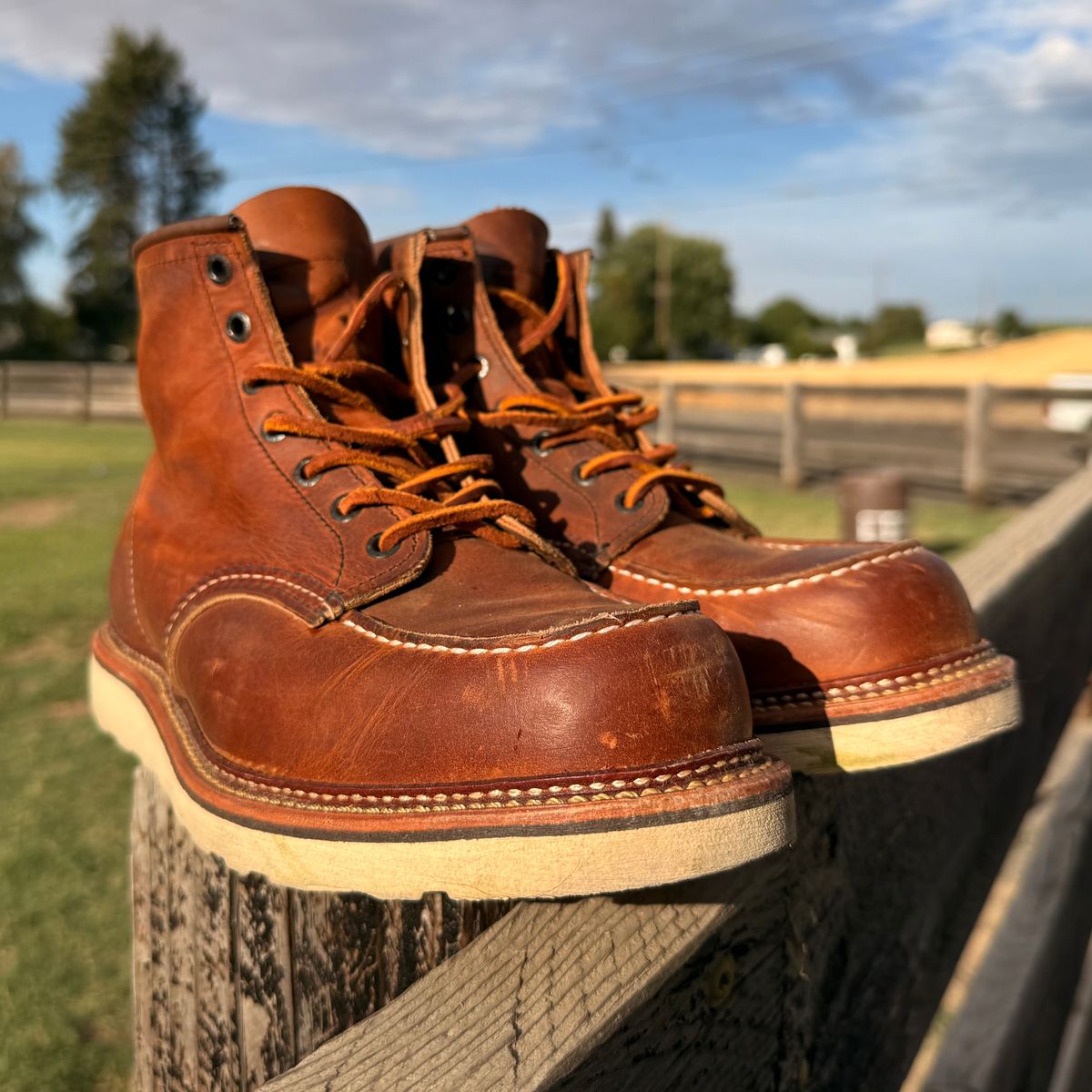Photo by kswem on August 5, 2025 of the Red Wing 6-Inch Classic Moc in S.B. Foot Copper Rough and Tough.