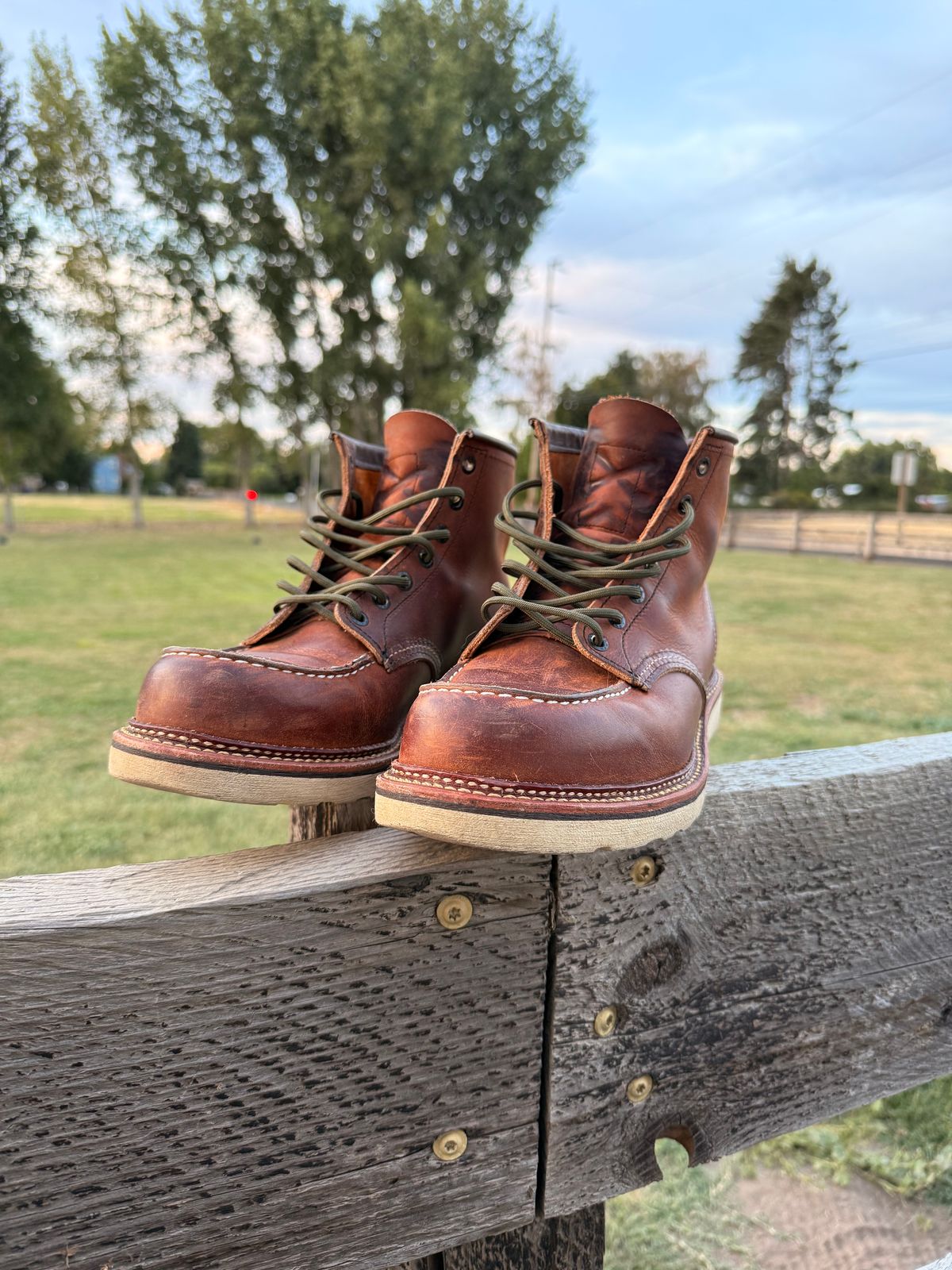 Photo by kswem on August 18, 2025 of the Red Wing 6-Inch Classic Moc in S.B. Foot Copper Rough and Tough.