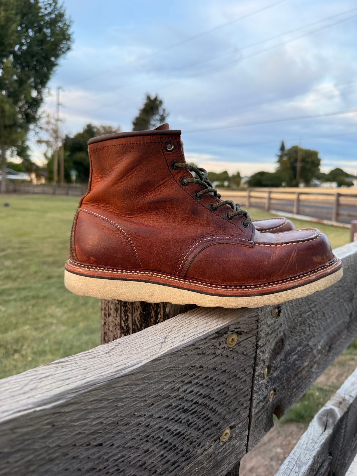 Photo by kswem on August 18, 2025 of the Red Wing 6-Inch Classic Moc in S.B. Foot Copper Rough and Tough.